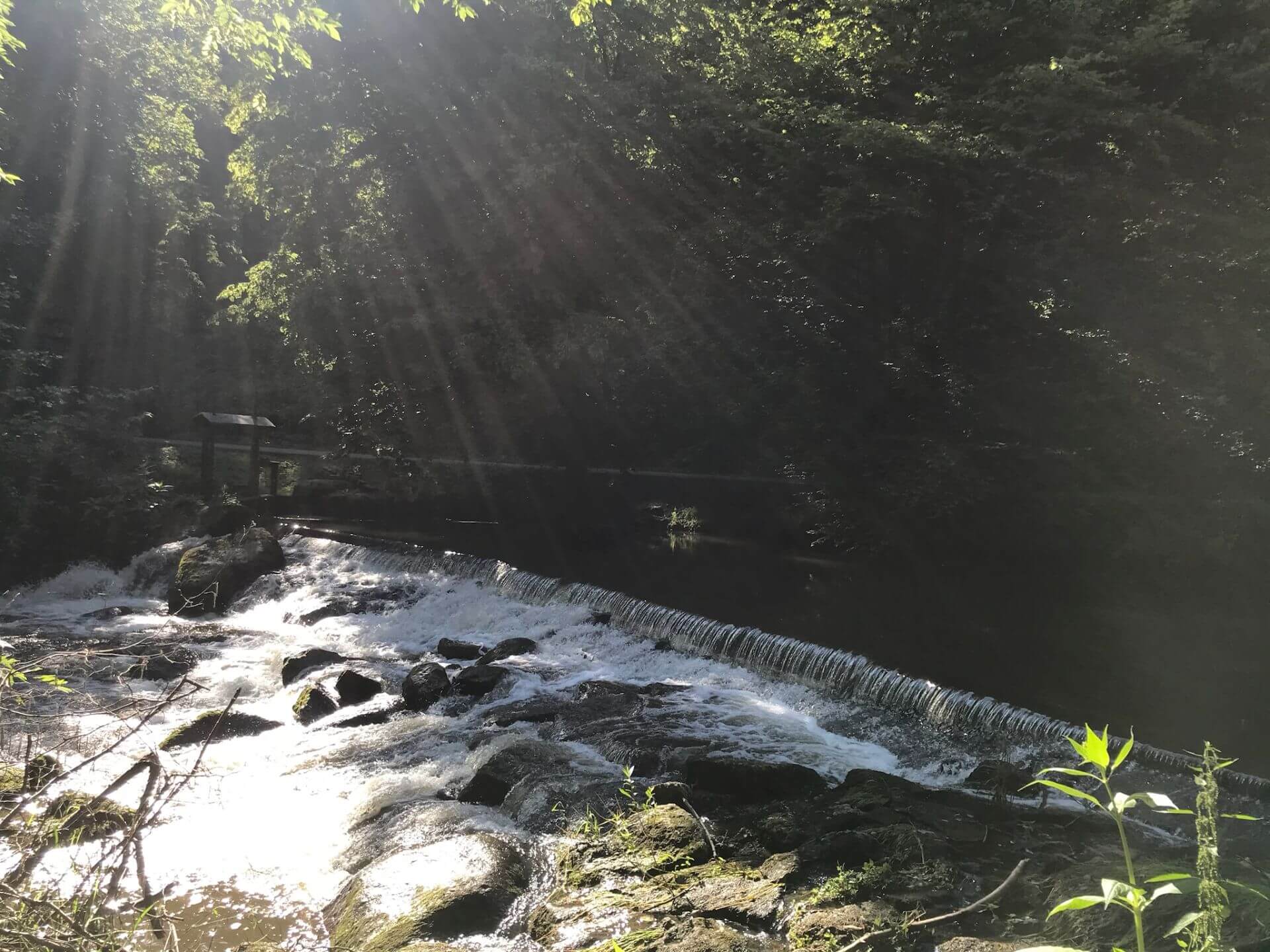 Fluss
