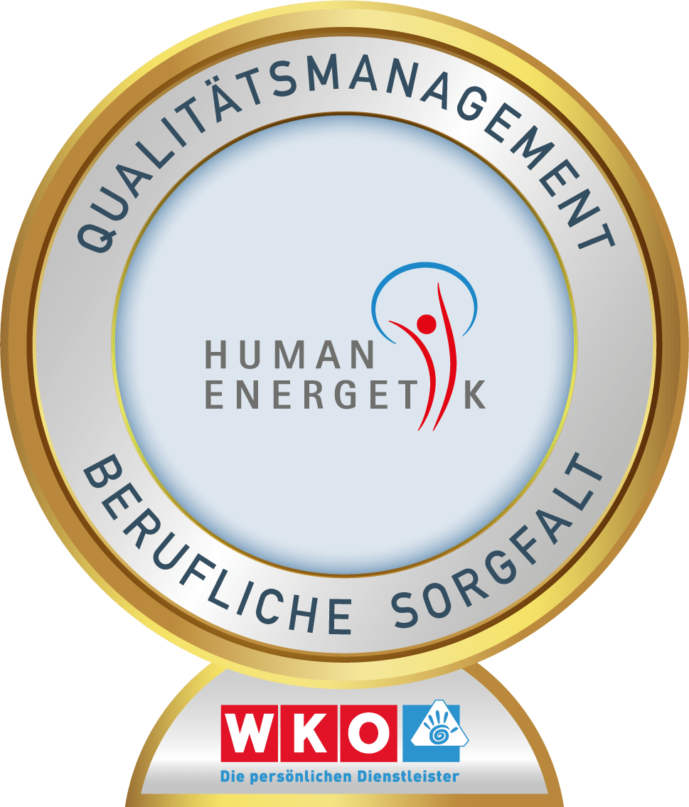 Qualitätsmanagement Berufliche Sorgfalt Human Energetik